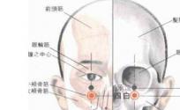 四白穴的功效与作用 按摩四白穴的作用 四白穴的准确位置图